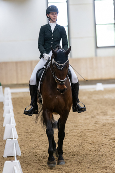Reitstall Pegasus